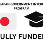 METI Japan Government Internship Program