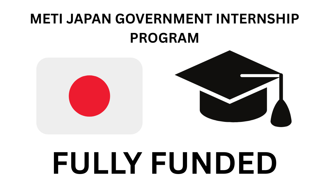 METI Japan Government Internship Program